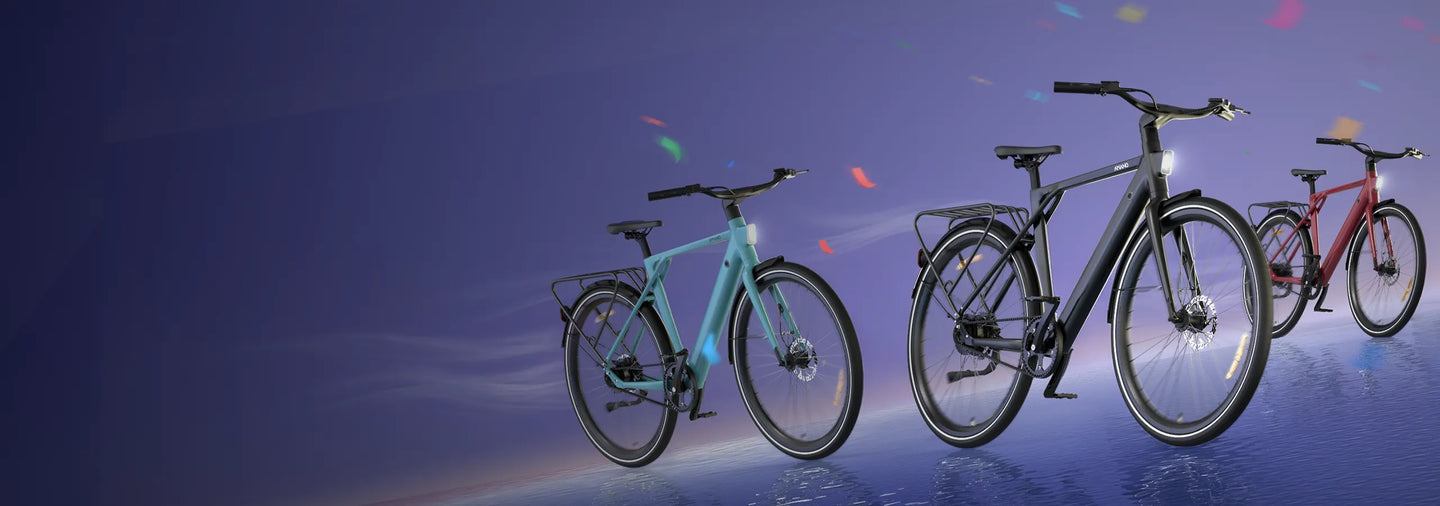 Affordable Electric Bike